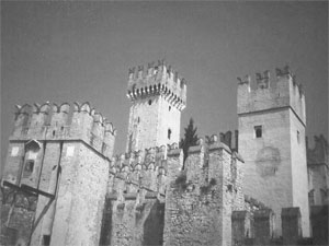 Click here for more Photos