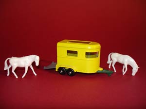 Click here for more Photos